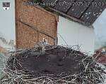 Capi_Dubne_20250902_170503.jpg