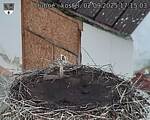 Capi_Dubne_20250902_171503.jpg