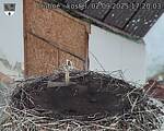 Capi_Dubne_20250902_172003.jpg