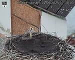 Capi_Dubne_20250902_173003.jpg