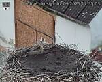 Capi_Dubne_20250902_173503.jpg