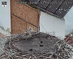 Capi_Dubne_20250902_181503.jpg