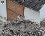 Capi_Dubne_20250902_182004.jpg