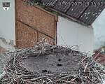 Capi_Dubne_20250902_183503.jpg