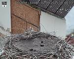 Capi_Dubne_20250902_184003.jpg