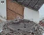 Capi_Dubne_20250902_184503.jpg