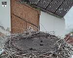 Capi_Dubne_20250902_185003.jpg
