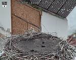 Capi_Dubne_20250902_185503.jpg