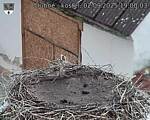 Capi_Dubne_20250902_190003.jpg