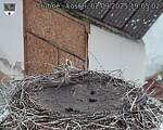 Capi_Dubne_20250902_190502.jpg