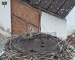 Capi_Dubne_20250902_191003.jpg