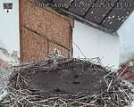 Capi_Dubne_20250902_191503.jpg