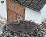 Capi_Dubne_20250902_192002.jpg