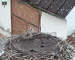 Capi_Dubne_20250902_192503.jpg