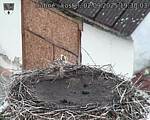Capi_Dubne_20250902_193003.jpg