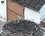 Capi_Dubne_20250902_193502.jpg