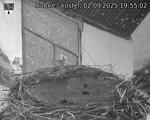 Capi_Dubne_20250902_195502.jpg