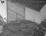 Capi_Dubne_20250902_200003.jpg
