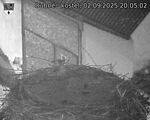 Capi_Dubne_20250902_200502.jpg