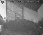 Capi_Dubne_20250902_201003.jpg