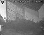 Capi_Dubne_20250902_202003.jpg