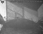 Capi_Dubne_20250902_204503.jpg