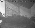 Capi_Dubne_20250902_215502.jpg