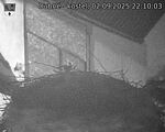 Capi_Dubne_20250902_221003.jpg