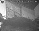 Capi_Dubne_20250902_221502.jpg