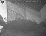 Capi_Dubne_20250902_222003.jpg