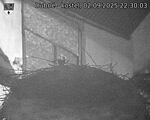 Capi_Dubne_20250902_223003.jpg