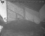 Capi_Dubne_20250902_232002.jpg