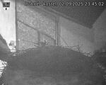 Capi_Dubne_20250902_234502.jpg