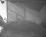 Capi_Dubne_20250903_012502.jpg