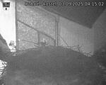 Capi_Dubne_20250903_041502.jpg