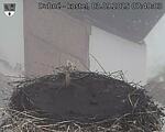 Capi_Dubne_20250903_074003.jpg