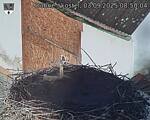 Capi_Dubne_20250903_085004.jpg