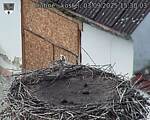 Capi_Dubne_20250903_153003.jpg
