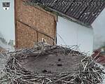Capi_Dubne_20250903_162002.jpg