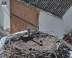 Capi_Dubne_20250903_163003.jpg