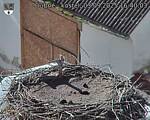Capi_Dubne_20250903_164003.jpg
