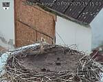 Capi_Dubne_20250903_191503.jpg