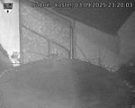Capi_Dubne_20250903_232003.jpg