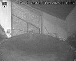 Capi_Dubne_20250904_001002.jpg