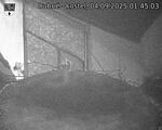 Capi_Dubne_20250904_014503.jpg