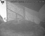 Capi_Dubne_20250904_015004.jpg