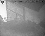 Capi_Dubne_20250904_022003.jpg