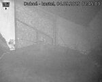 Capi_Dubne_20250904_024503.jpg