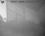 Capi_Dubne_20250904_030003.jpg