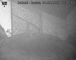 Capi_Dubne_20250904_032003.jpg